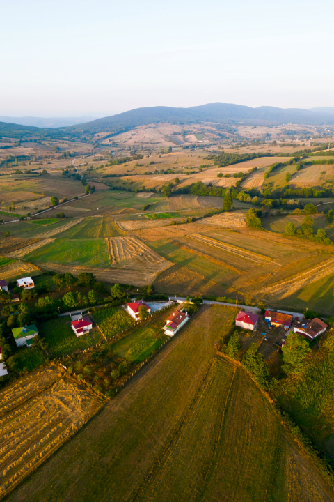 Drone Mapping & Surveying