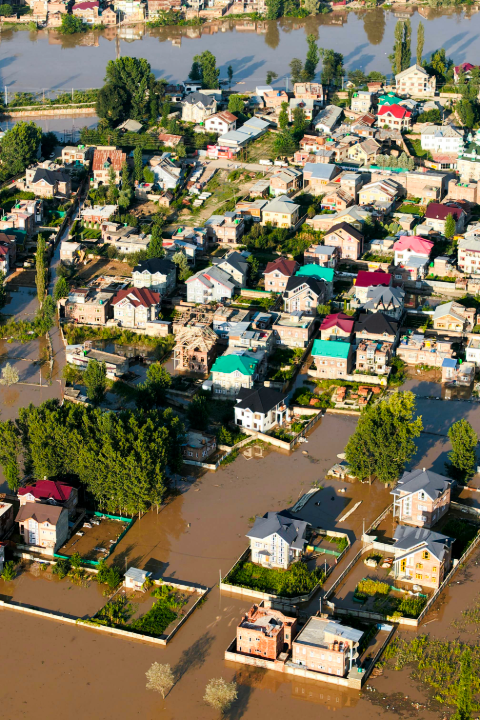 Disaster Management