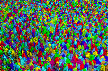 LiDAR360 Individual Tree Segmentation
