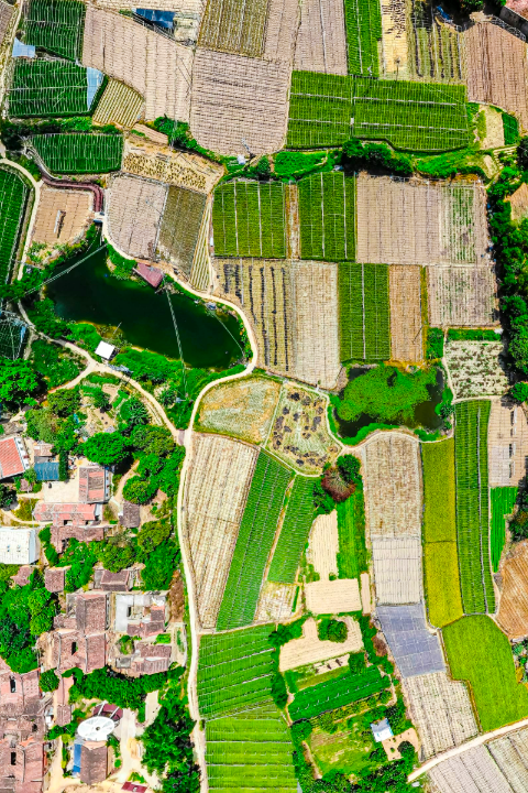 UAV Mapping