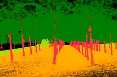 LiDAR360MLS Urban Forestry Survey & Analysis